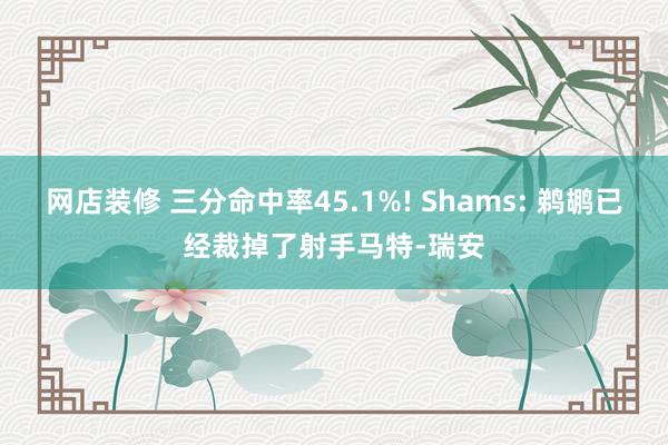 网店装修 三分命中率45.1%! Shams: 鹈鹕已经裁掉了射手马特-瑞安