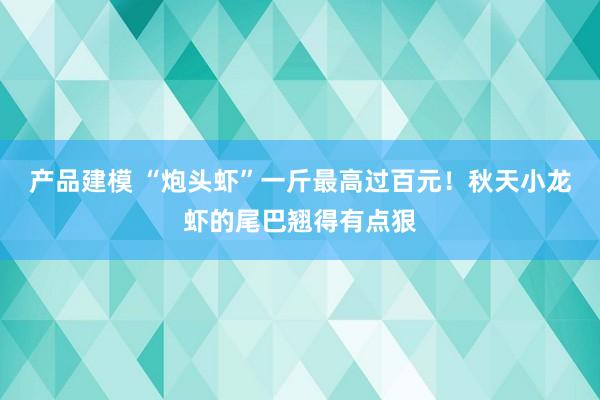 产品建模 “炮头虾”一斤最高过百元！秋天小龙虾的尾巴翘得有点狠