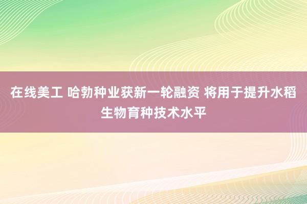 在线美工 哈勃种业获新一轮融资 将用于提升水稻生物育种技术水平